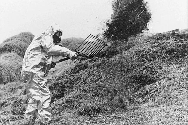 Фото В Новосибирске опубликованы страшные кадры взрыва на Чернобыльской АЭС 5